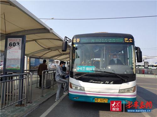 青岛交运巴士爆料最新消息,事故原因及后续处理情况揭晓